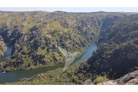 Cortijo i Mogadouro, Braganca, Mogadouro - € 950.000 | Ref: MAN_155 - foto 42
