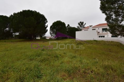 Helårsgrund i Entroncamento, Santarem, Entroncamento - € 46.000 | Ref: 2409 - foto 2
