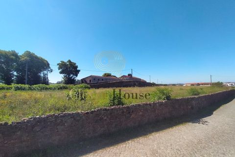 Tomt i Gandra, Braga, Gandra - € 1 200 000 | Ref: SÒL_2692 - foto 2