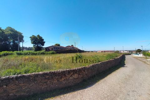 Tomt i Gandra, Braga, Gandra - € 1 200 000 | Ref: SÒL_2692 - foto 4