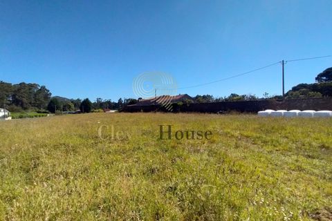 Tomt i Gandra, Braga, Gandra - € 1 200 000 | Ref: SÒL_2692 - foto 10