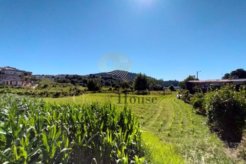Tomt i Gandra, Braga, Gandra - € 1 200 000 | Ref: SÒL_2692 - foto 11