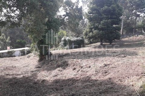 Helårsgrund i Caminha, Viana do Castelo, Caminha - € 100.000 | Ref: 935 - foto 2