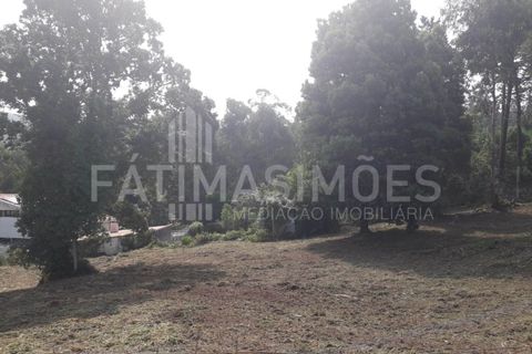 Helårsgrund i Caminha, Viana do Castelo, Caminha - € 100.000 | Ref: 935 - foto 3