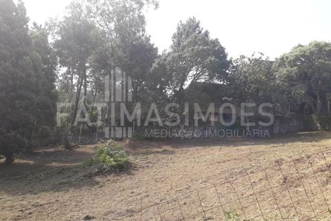Helårsgrund i Caminha, Viana do Castelo, Caminha - € 100.000 | Ref: 935 - foto 4