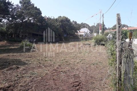 Helårsgrund i Caminha, Viana do Castelo, Caminha - € 100.000 | Ref: 935 - foto 5