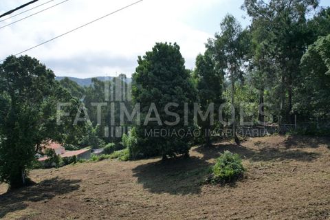 Helårsgrund i Caminha, Viana do Castelo, Caminha - € 100.000 | Ref: 935 - foto 6