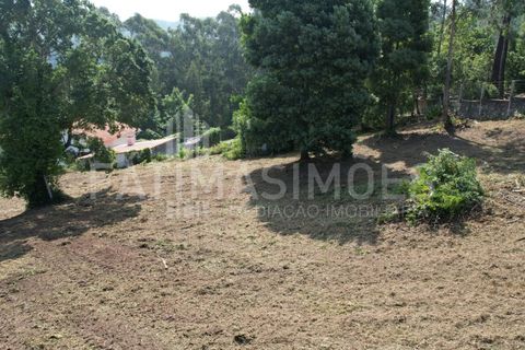 Helårsgrund i Caminha, Viana do Castelo, Caminha - € 100.000 | Ref: 935 - foto 7