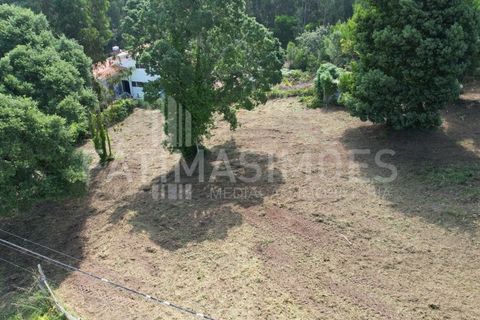Helårsgrund i Caminha, Viana do Castelo, Caminha - € 100.000 | Ref: 935 - foto 9