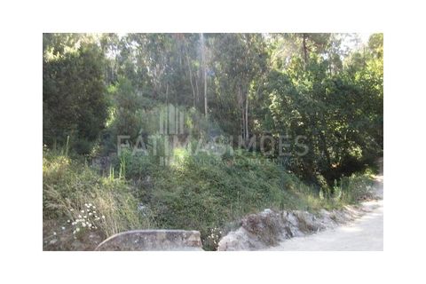 Helårsgrund i Caminha, Viana do Castelo, Caminha - € 115.000 | Ref: 139 - foto 2