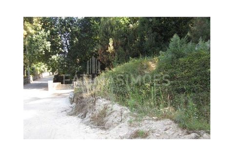 Helårsgrund i Caminha, Viana do Castelo, Caminha - € 115.000 | Ref: 139 - foto 3