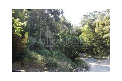 Helårsgrund i Caminha, Viana do Castelo, Caminha - € 115.000 | Ref: 139 - foto 4