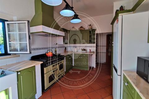 Villa i Tomar, Santarem, Tomar - € 525 000 | Ref: TAM_517 - foto 14