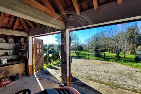 Villa i Tomar, Santarem, Tomar - € 525 000 | Ref: TAM_517 - foto 41