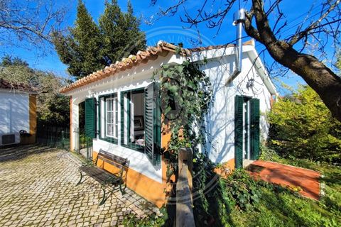 Villa i Tomar, Santarem, Tomar - € 525 000 | Ref: TAM_517 - foto 43
