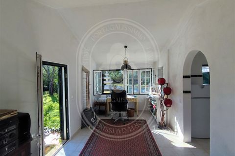 Villa i Tomar, Santarem, Tomar - € 525 000 | Ref: TAM_517 - foto 48