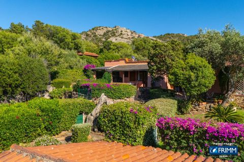 Rækkehus i Olbia, Sassari, Olbia - € 229.000 | Ref: 2009-333 - foto 34