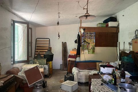 Terra a Monti, Sassari, Monti - € 110.000 | Ref: T1046-110 - foto 3