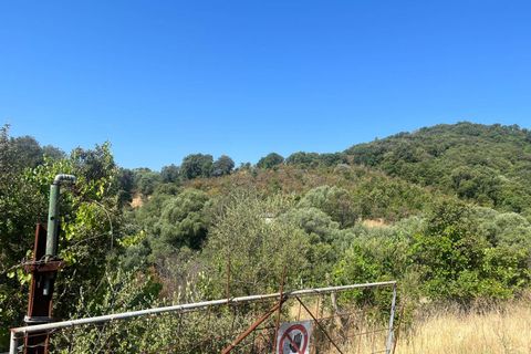 Terra a Monti, Sassari, Monti - € 110.000 | Ref: T1046-110 - foto 4