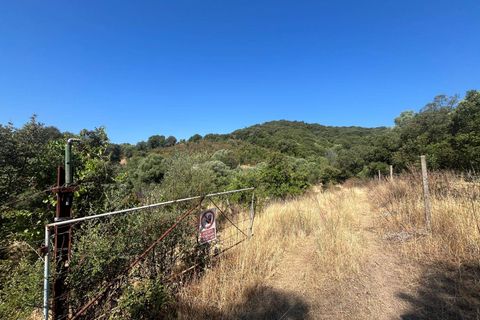 Terra a Monti, Sassari, Monti - € 110.000 | Ref: T1046-110 - foto 5