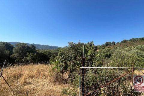 Terra a Monti, Sassari, Monti - € 110.000 | Ref: T1046-110 - foto 6