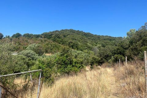 Terra a Monti, Sassari, Monti - € 110.000 | Ref: T1046-110 - foto 7