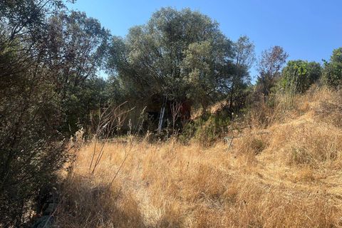 Terra a Monti, Sassari, Monti - € 110.000 | Ref: T1046-110 - foto 8