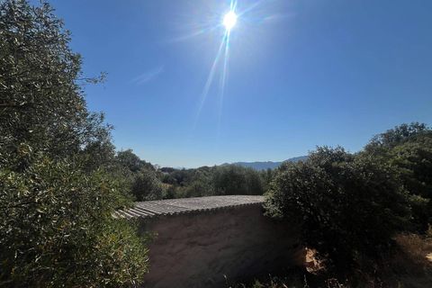 Terra a Monti, Sassari, Monti - € 110.000 | Ref: T1046-110 - foto 9
