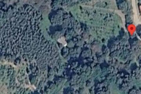 Terra a Monti, Sassari, Monti - € 110.000 | Ref: T1046-110 - foto 10