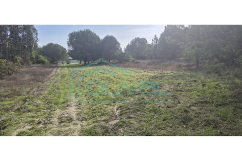 Helårsgrund i Benavente, Santarem, Benavente - € 105.000 | Ref: TER_2026 - foto 2