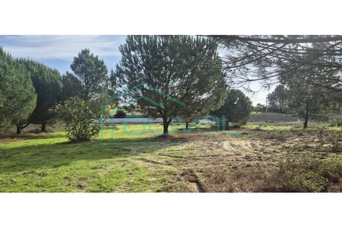 Helårsgrund i Benavente, Santarem, Benavente - € 105.000 | Ref: TER_2026 - foto 4