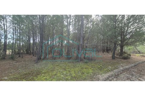 Helårsgrund i Benavente, Santarem, Benavente - € 105.000 | Ref: TER_2026 - foto 7