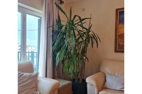 Lejlighed i Ericeira, Lisbon, Ericeira - € 1.160.000 | Ref: APART_3141 - foto 32