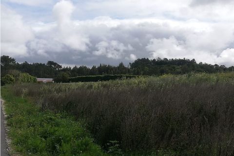 Helårsgrund i Ericeira, Lisbon, Ericeira - € 350.000 | Ref: LOTE_2871 - foto 4