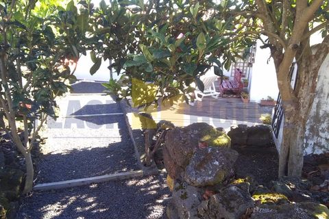 Bungalow i Sao Caetano, Pico, Sao Caetano - € 280.000 | Ref: FHPM3062 - foto 7