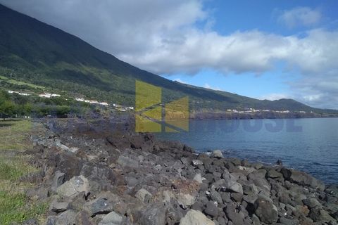Bungalow i Sao Caetano, Pico, Sao Caetano - € 280.000 | Ref: FHPM3062 - foto 14