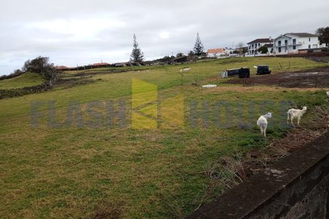 Helårsgrund i Madalena, Pico, Madalena - € 650.000 | Ref: FHPL5059 - foto 2