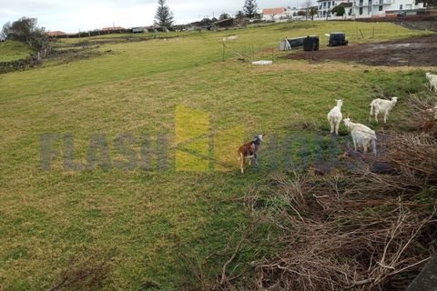 Helårsgrund i Madalena, Pico, Madalena - € 650.000 | Ref: FHPL5059 - foto 4