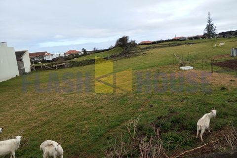 Helårsgrund i Madalena, Pico, Madalena - € 650.000 | Ref: FHPL5059 - foto 6