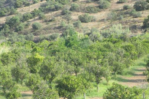 Villa i Castro Marim, Faro, Castro Marim - € 395.000 | Ref: 1001-202 - foto 8
