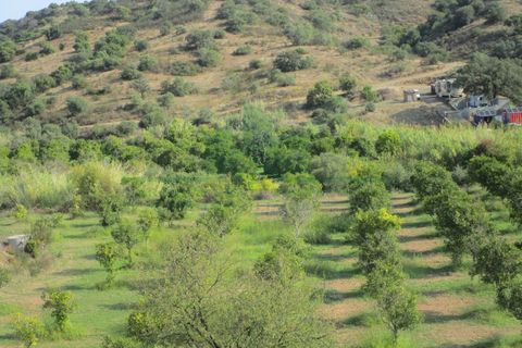 Villa i Castro Marim, Faro, Castro Marim - € 395.000 | Ref: 1001-202 - foto 33