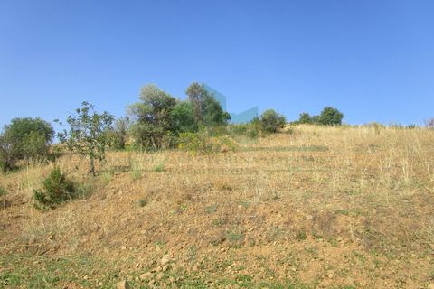 Villa i Castro Marim, Faro, Castro Marim - € 395.000 | Ref: 1001-202 - foto 43