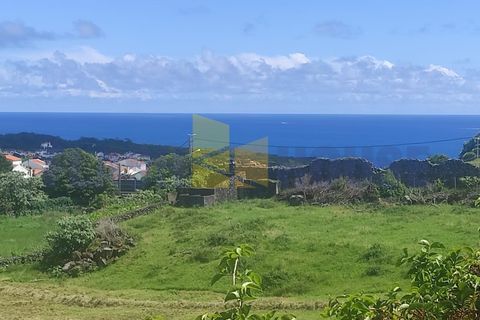 Helårsgrund i Sao Roque, Madeira, Sao Roque - € 350.000 | Ref: MPDL5049 - foto 2