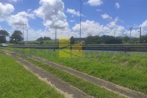 Helårsgrund i Sao Roque, Madeira, Sao Roque - € 350.000 | Ref: MPDL5049 - foto 3