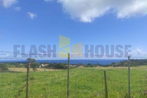 Helårsgrund i Sao Roque, Madeira, Sao Roque - € 350.000 | Ref: MPDL5049 - foto 5
