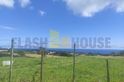Helårsgrund i Sao Roque, Madeira, Sao Roque - € 350.000 | Ref: MPDL5049 - foto 6