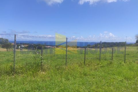 Helårsgrund i Sao Roque, Madeira, Sao Roque - € 350.000 | Ref: MPDL5049 - foto 7