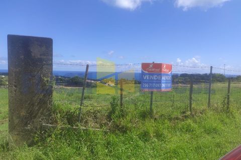 Helårsgrund i Sao Roque, Madeira, Sao Roque - € 350.000 | Ref: MPDL5049 - foto 8