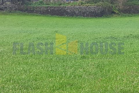 Helårsgrund i Sao Roque, Madeira, Sao Roque - € 900.000 | Ref: MPDL5047 - foto 5