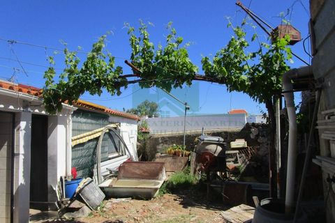 Villa i Castro Marim, Faro, Castro Marim - € 135.000 | Ref: 1001-308 - foto 7